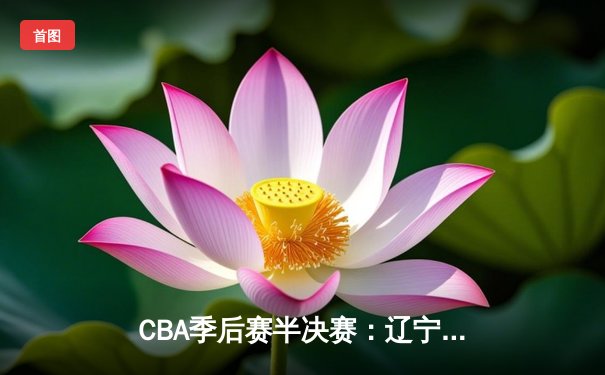 CBA季后赛半决赛：辽宁本钢加时险胜广东东莞 赵继伟砍下33分创生涯新高